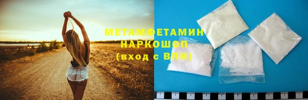 прущие грибы Магас