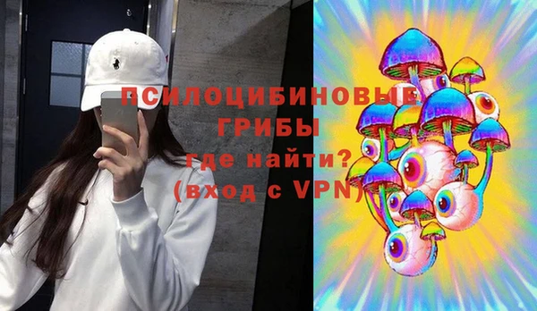 прущие грибы Магас