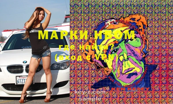 прущие грибы Магас