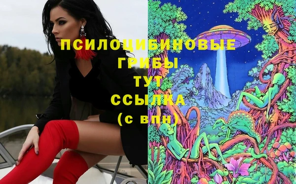 спайс Магадан