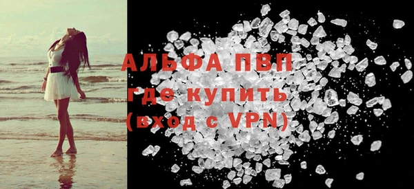 прущие грибы Магас