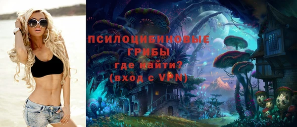 прущие грибы Магас
