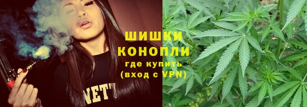 прущие грибы Магас