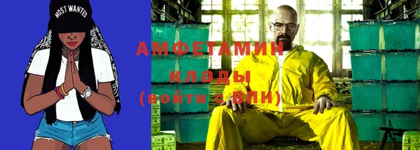 прущие грибы Магас