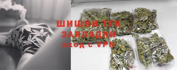 прущие грибы Магас