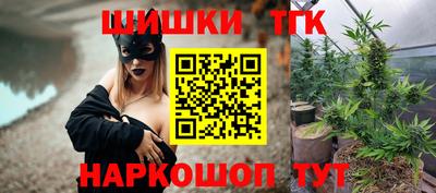 индика Беслан