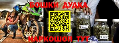 индика Беслан