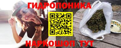 дживик Берёзовский