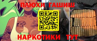 индика Беслан