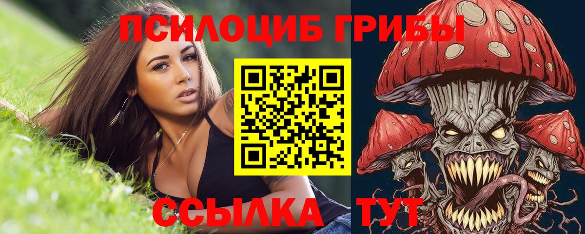 Галлюциногенные грибы MAGIC MUSHROOMS  Новошахтинск 