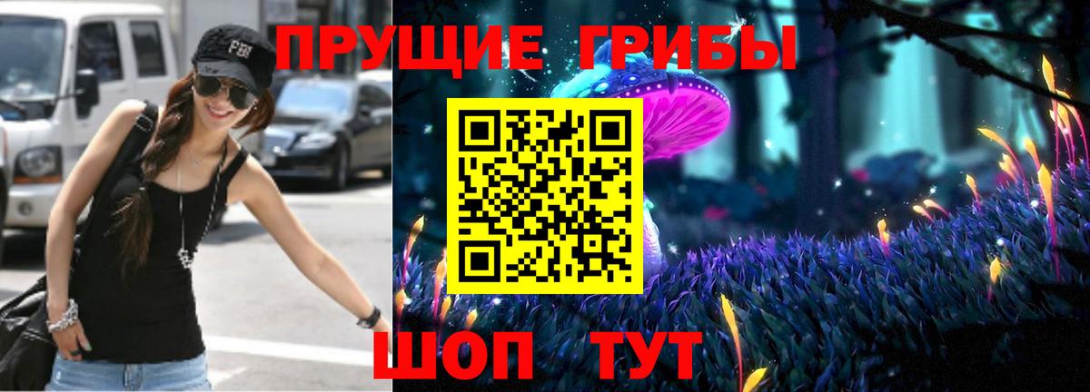 Псилоцибиновые грибы Psilocybe  где найти   Новошахтинск  Вход с VPN 