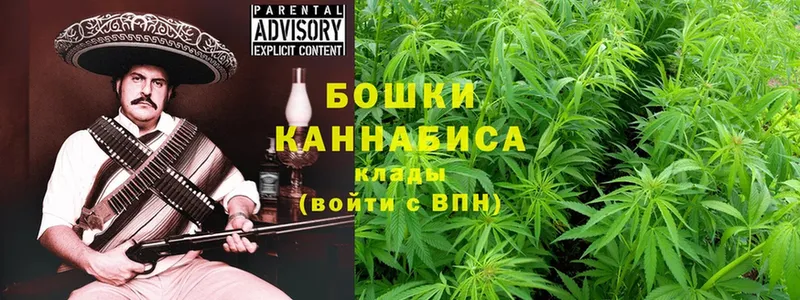 сколько стоит  omg tor  Бошки Шишки OG Kush  Новошахтинск 